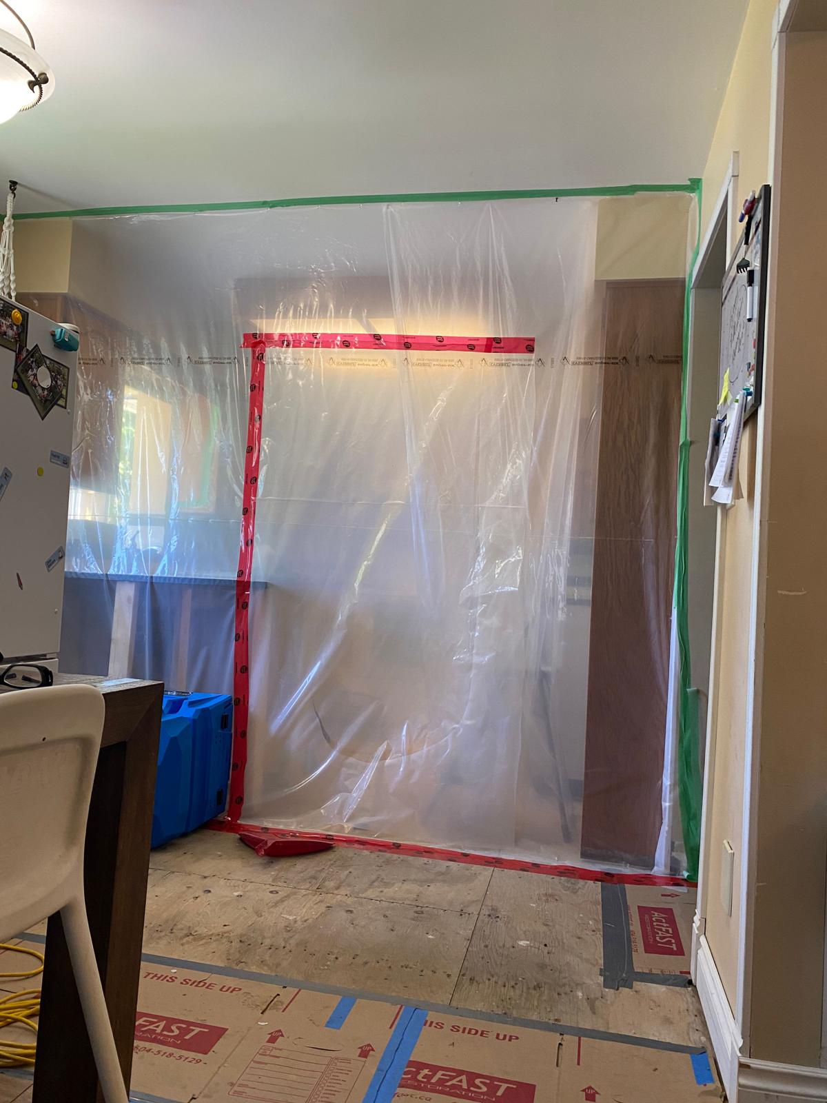 Mold Remediation
